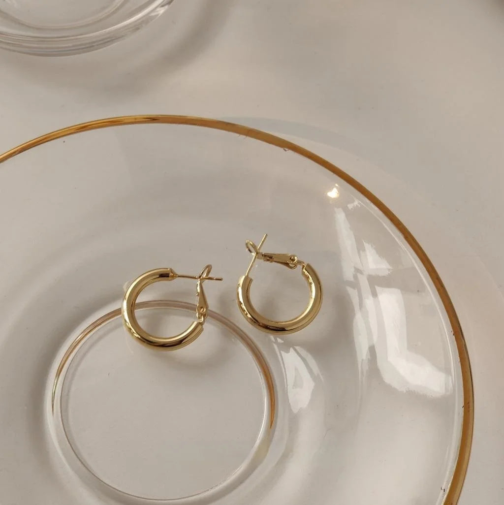 Korean Minimalist Metal S Shape Small Hoop Earrings With Silver Plated Pins
