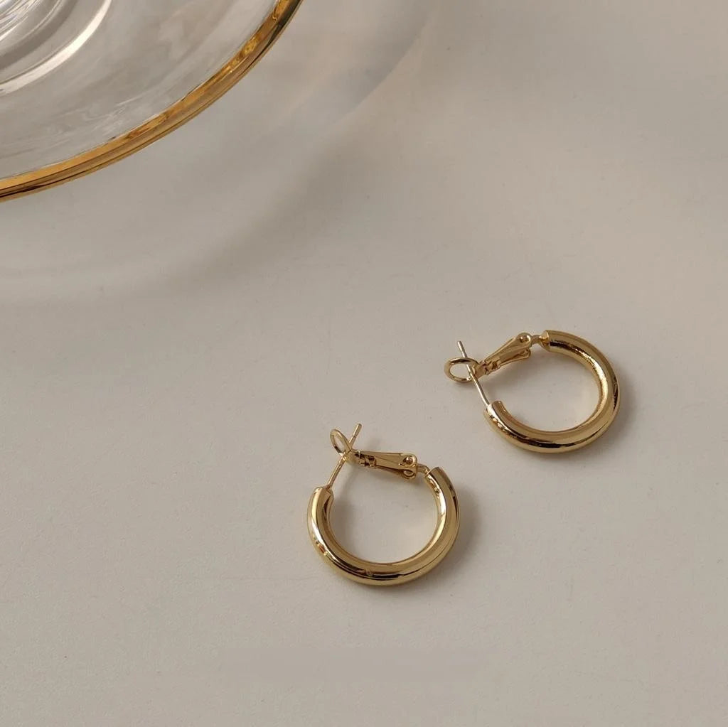 Korean Minimalist Metal S Shape Small Hoop Earrings With Silver Plated Pins