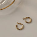 Korean Minimalist Metal S Shape Small Hoop Earrings With Silver Plated Pins