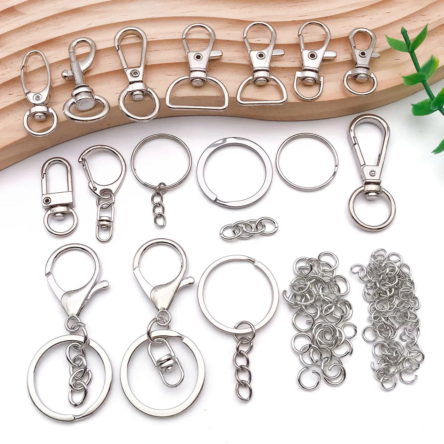 Stainless Steel Spring Clasps