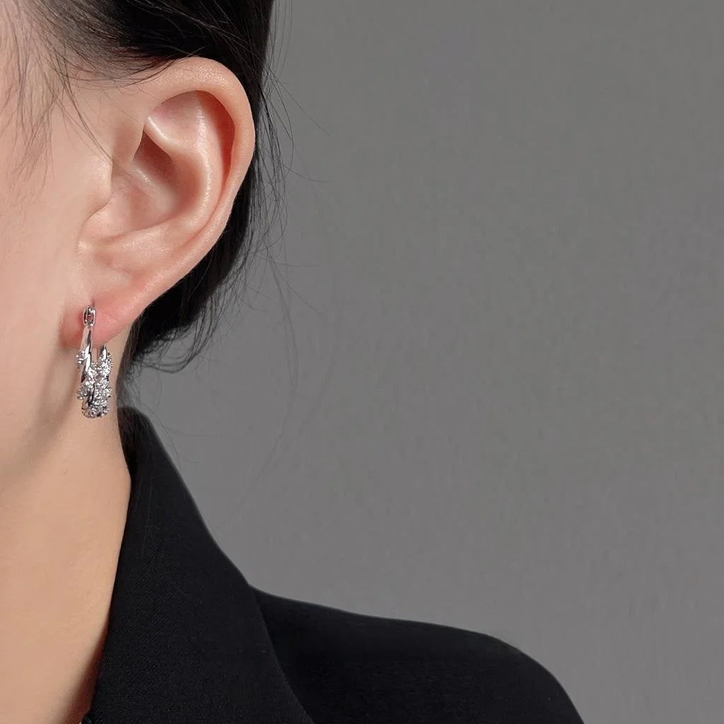 Premium Copper Micro Pave Zircon Round Geometric Hoop Drop Earrings For Women