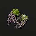 Elegant Beaded Wisteria Flower Tassel Crystal Leaf Stud & Clip On No Piercing Long Drop Earrings