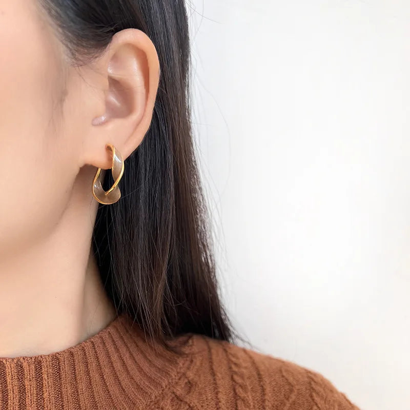 Vintage Brown Enamel Twisted Hoop Alloy Stud & Clip On No Piercing French Elegant Statement Earrings