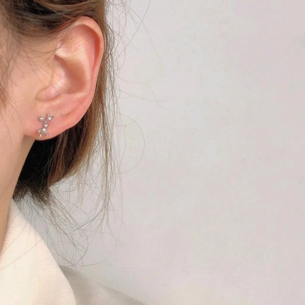 Mini Zircon Pave 12 Zodiac Stud Earrings, Silver Plated Copper Constellation Jewelry