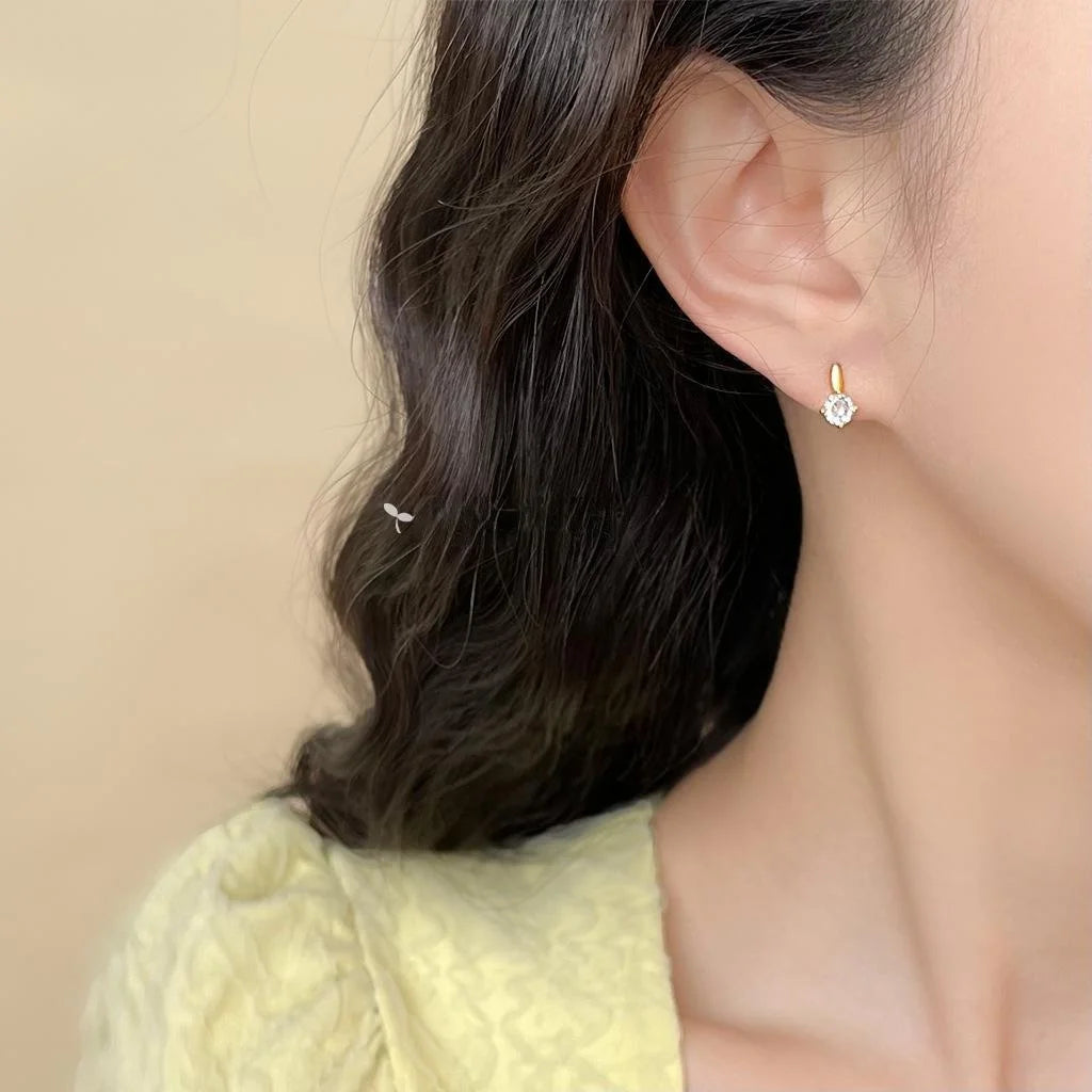 Mini Zircon Stud Earrings With Silver Plated Posts Simple Round Geometric Earrings For Women