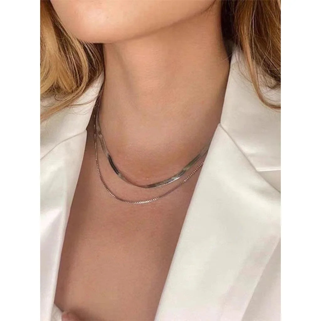 Titanium Steel Double Layer Snake Bone Chain Necklace Geometric Trendy Choker Sweater Chain
