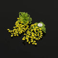 Green And Yellow Crystal Beaded Flower Tassel Stud & Clip On No Piercing Statement Drop Earrings
