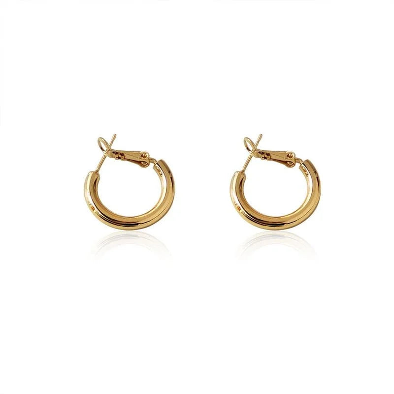 Korean Minimalist Metal S Shape Small Hoop Earrings With Silver Plated Pins
