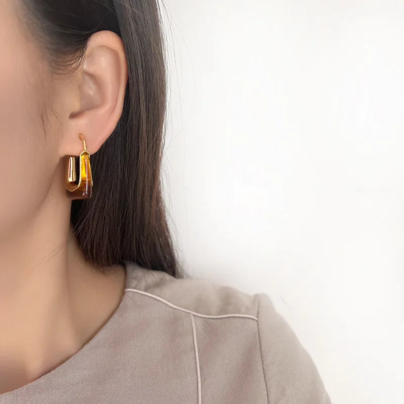 Vintage French Brown Resin Geometric Hoop Stud & Clip On No Piercing Gold Alloy Spiral Earrings
