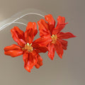 White And Orange Oversized Petal Flower Stud Earrings view 7