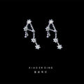 Silver Crystal Zodiac Constellation Stud Earrings Signs view 6