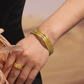 Polished 5mm Wide Domed Bangles Gold And Steel Tone view 1