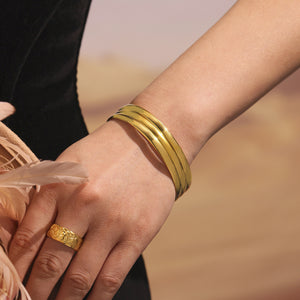 Polished 5mm Wide Domed Bangles Gold And Steel Tone