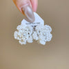 White Flower