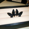 Black Disc Stud