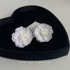 White Lace Flower