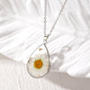 White Daisy