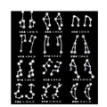 Silver Crystal Zodiac Constellation Stud Earrings Signs view 5