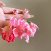 Hot Pink Bouquets