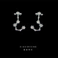 Silver Crystal Zodiac Constellation Stud Earrings Signs view 11