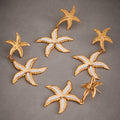 Gold Dual Starfish Drop Earrings with White Enamel Inlay view 1