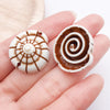 Brown Seashell 11