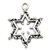 Gray Snowflake