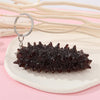 Sea Cucumber