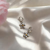 Silver Daisy