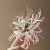 Pale Pink Lily