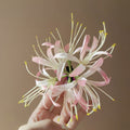 Red Or Pale Pink Artificial Spider Lily Duckbill Hair Clip view 7