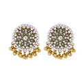 Floral Medallion Pearl Look Border Statement Earrings view 5