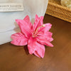 Bright Pink Lily