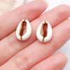 Brown Seashell 4