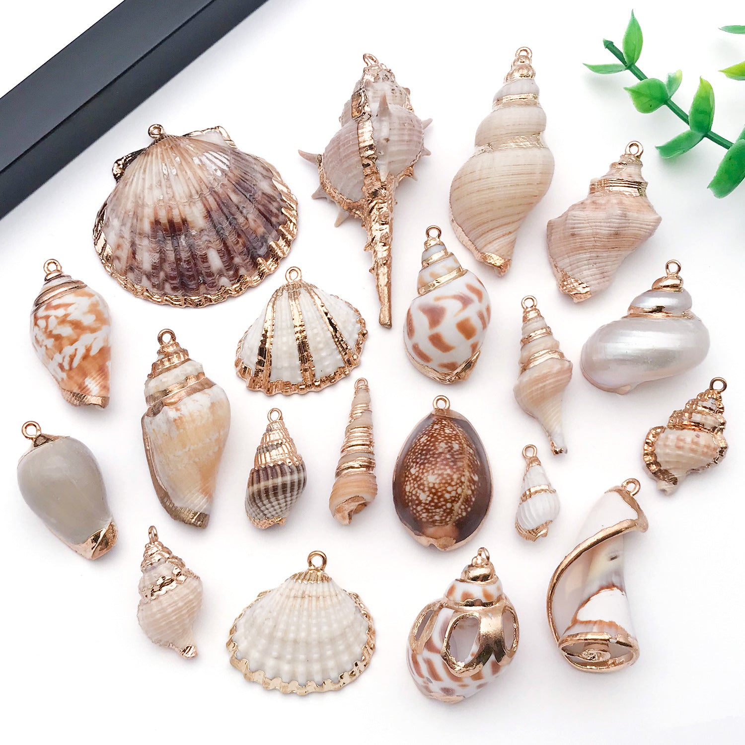 Gold Plated Acrylic Shell Conch Bead Charm Pendant for DIY Necklace Earrings Wind Chime