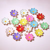 Mixed Daisies