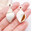 White Seashell 2