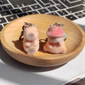 Flocked Capybara Plush Keychains Lobster Clasp 3 Styles view 1