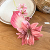 Pink Lily