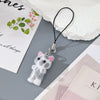 Gray White Cat