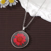 Red Daisy
