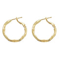 Geometric Irregular Circular Metal Hoop Earrings Pair view 5
