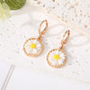 White Daisy