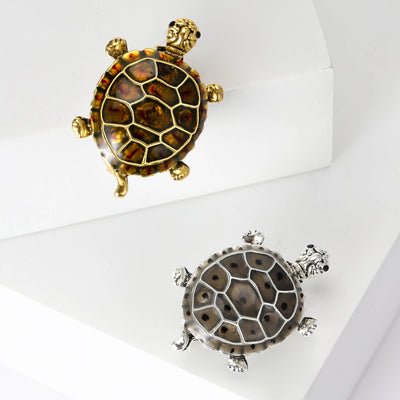 Front view of small turtle with a segmented honeycomb-pattern shell