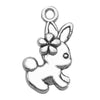 Gray Rabbit 5