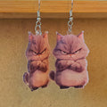 Acrylic Double-Sided Cute Cat Print Earrings 8 Styles view 10