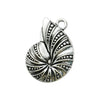 Gray Seashell 4