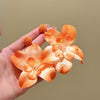 Orange Orchid