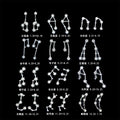 Silver Crystal Zodiac Constellation Stud Earrings Signs view 1