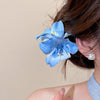 Blue Orchid Bloom